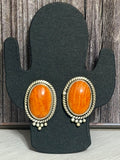 Spiny oyster studs