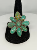 Royston Cluster Ring