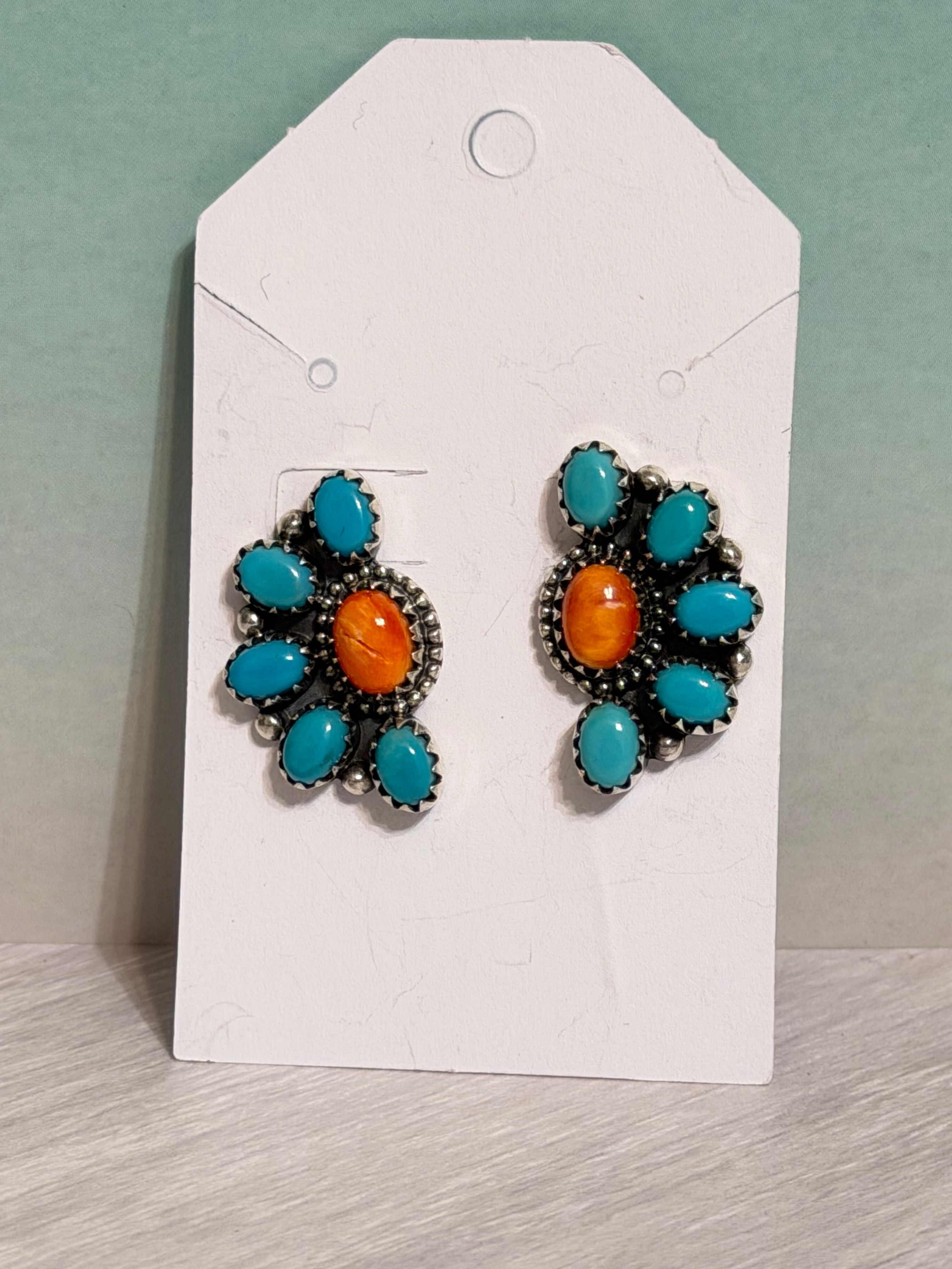 Turquoise and Spiny 1/2 Clusters