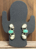 Wild Horse and Turquoise